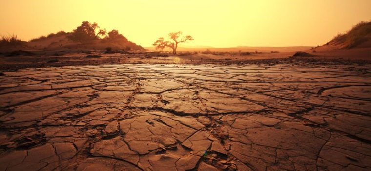 drought-land_658691-86
